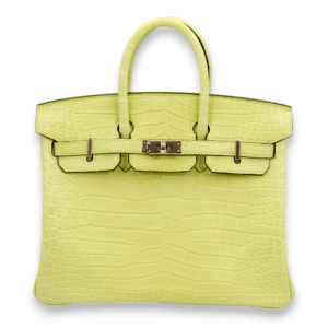 Birkin 25 Jaune Bourgeon in Matte Porosus, Palladium hardware