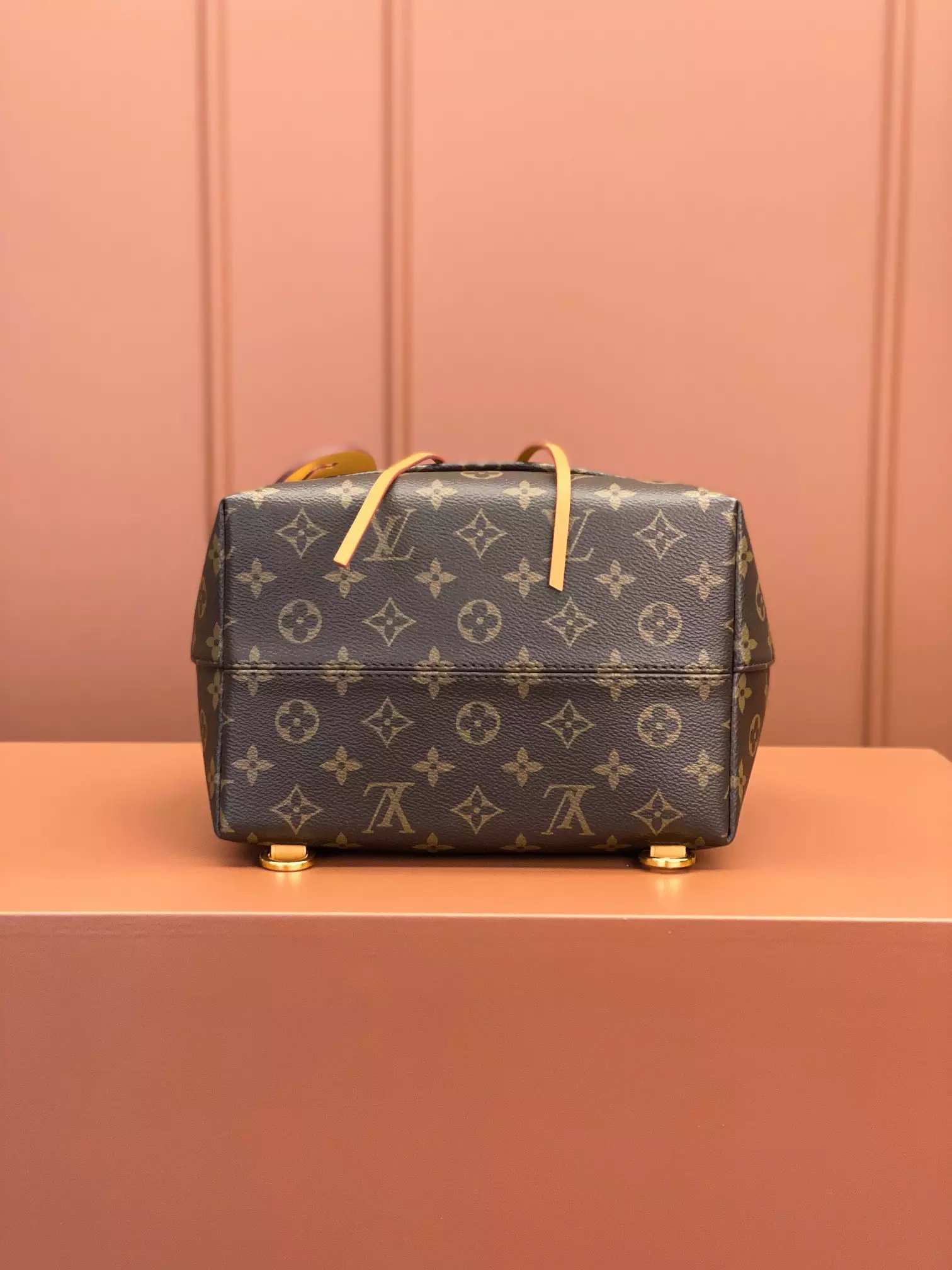 Louis Vuitton Montsouris PM 'Brown' - Repbags.ru - Image 11