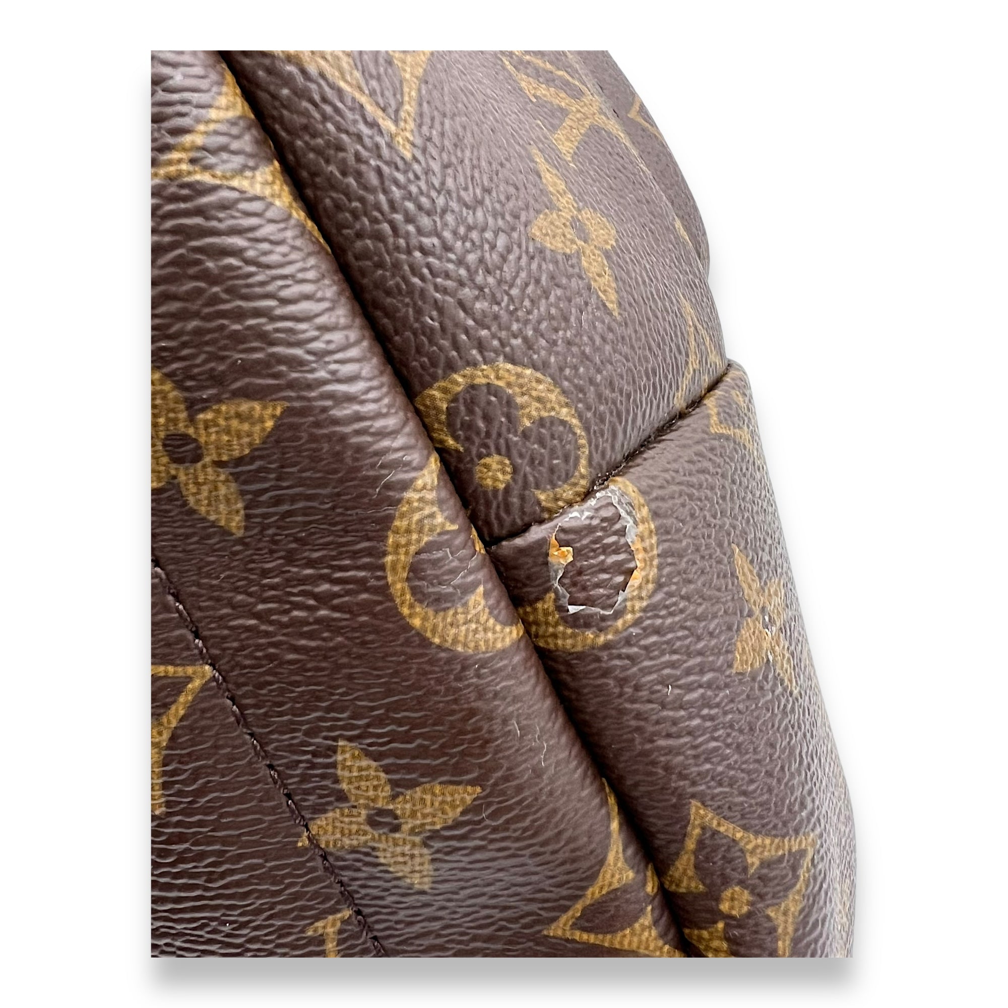 Palm Springs Backpack Brown in Monogram Coated Canvas, Gold hardware - Image 9