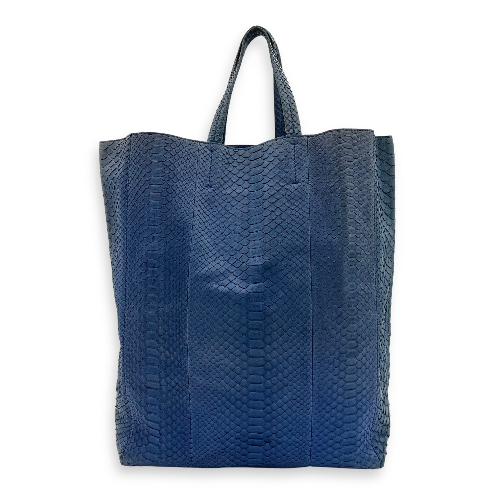 Cabas Tote Bag Blue in Python Leather, Gold hardware