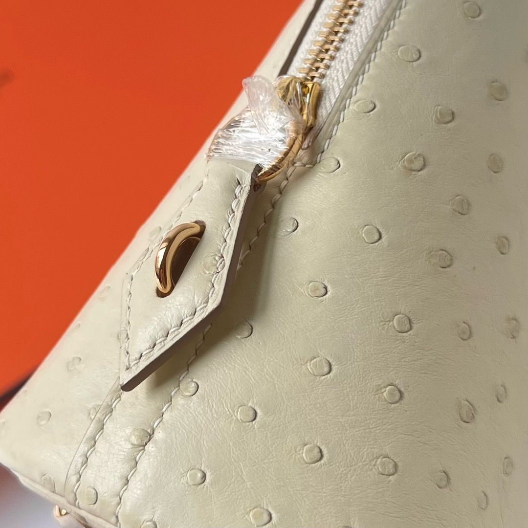 Hermes Bolide 1923 25 Handmade Bag In Parchemin Ostrich Leather - Image 7