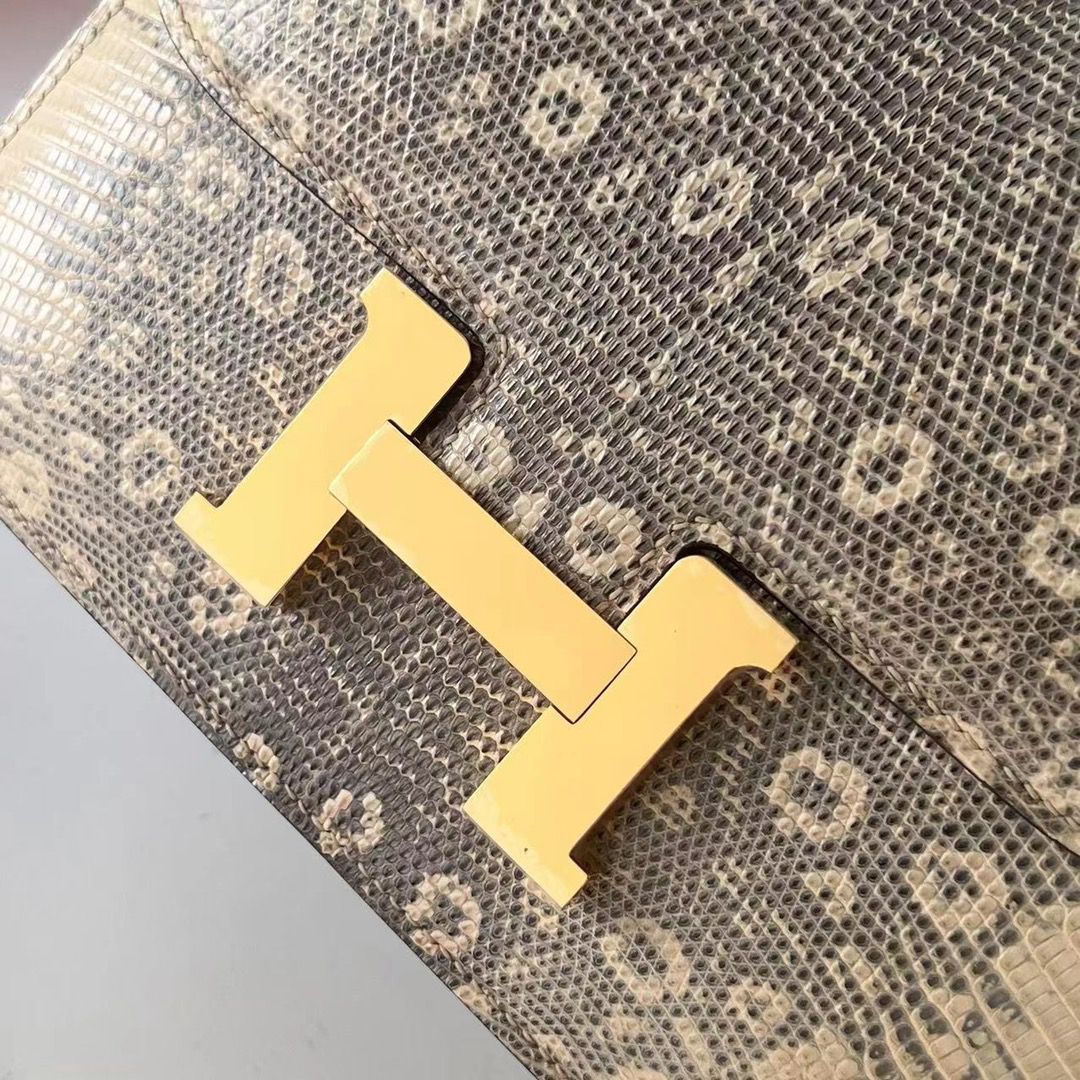 Hermes Constance 18 Handmade Bag In Natural Lizard Skin - Image 7
