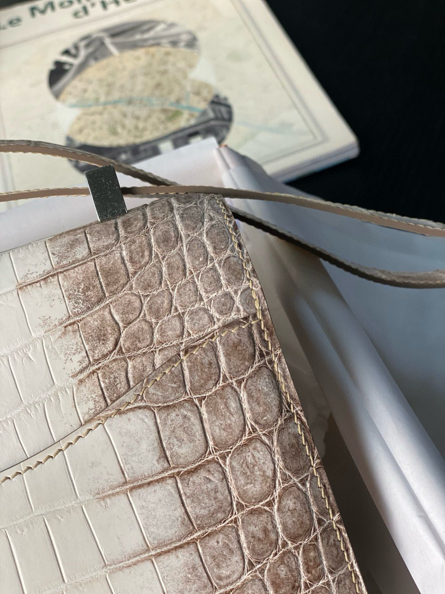 Hermes Constance 24 Handmade Bag In Himalaya Crocodile Niloticus Skin - Image 6