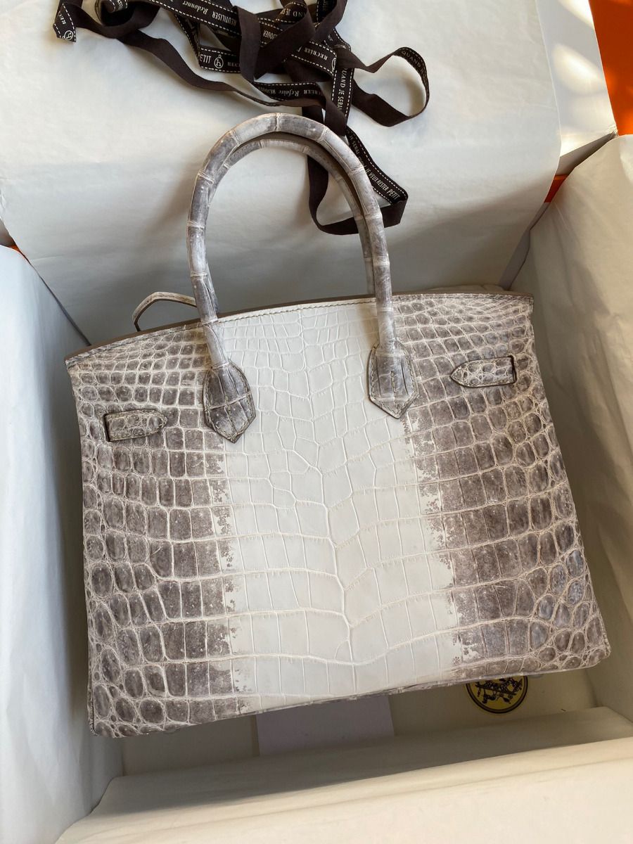 Hermes Birkin 25 Retourne Bag In Himalaya Niloticus Crocodile Skin - Image 3