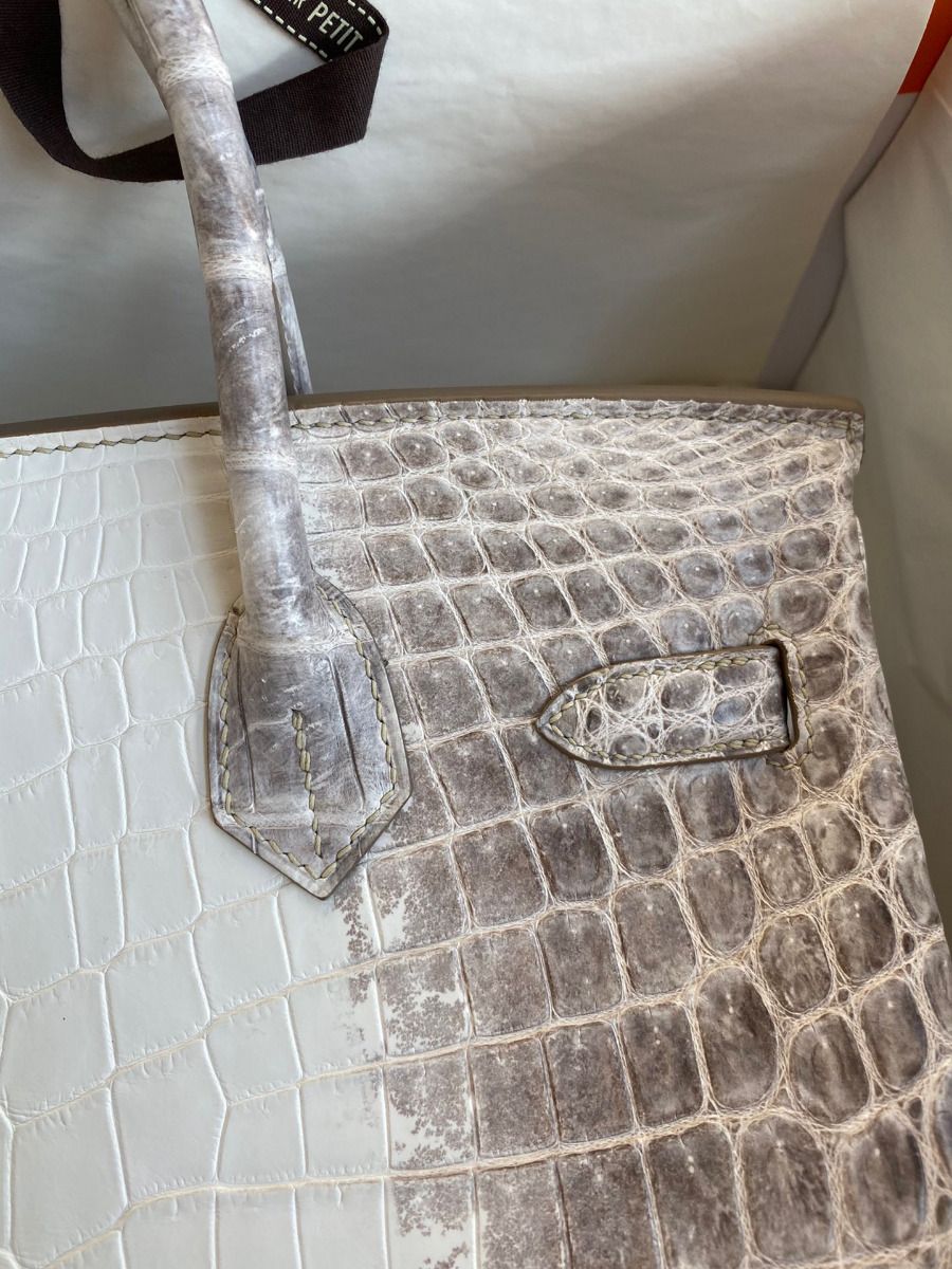 Hermes Birkin 25 Retourne Bag In Himalaya Niloticus Crocodile Skin - Image 5