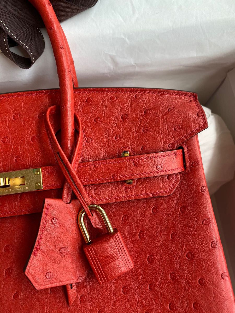 Hermes Birkin 25 Retourne Handmade Bag In Red Ostrich Leather - Image 4