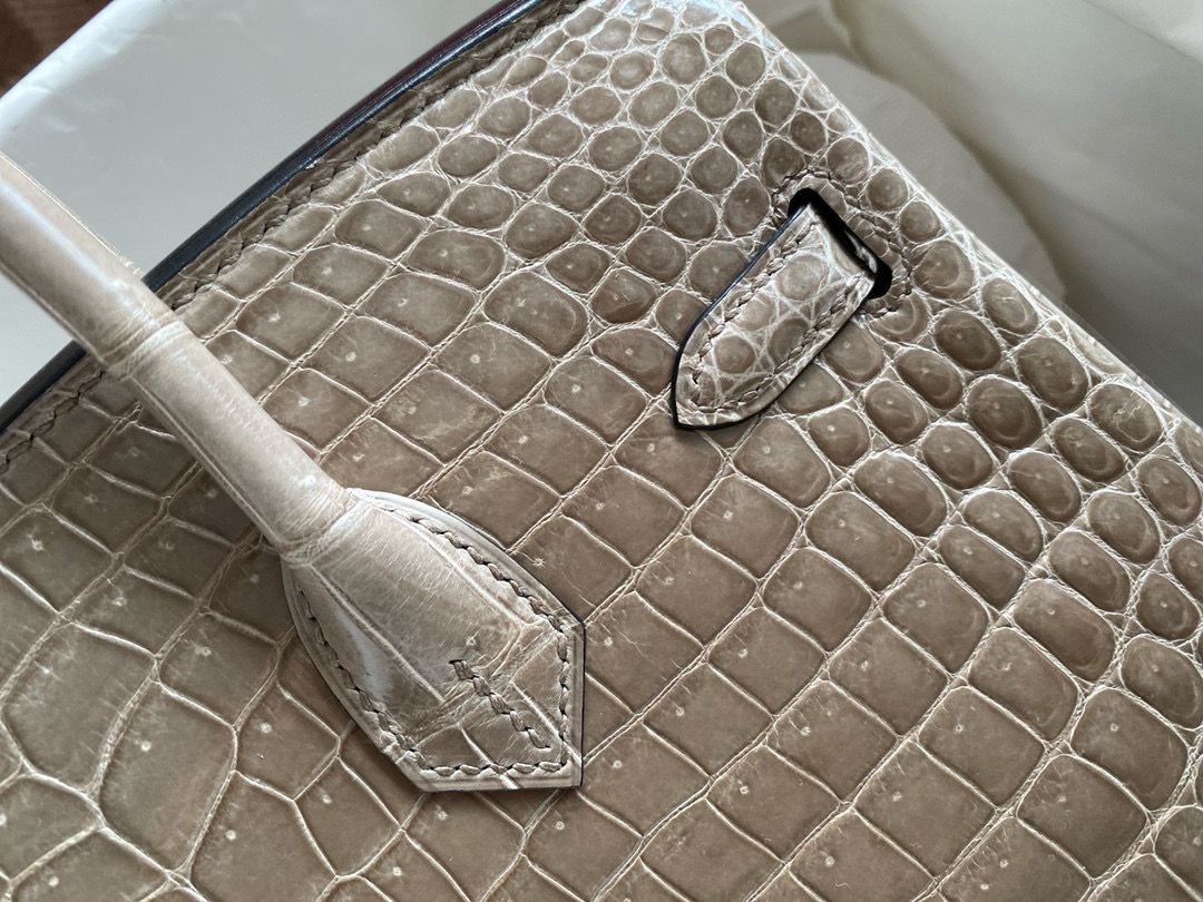 Hermes Birkin 25 Handmade Bag in Tourterelle Porosus Crocodile Shiny Skin - Image 6