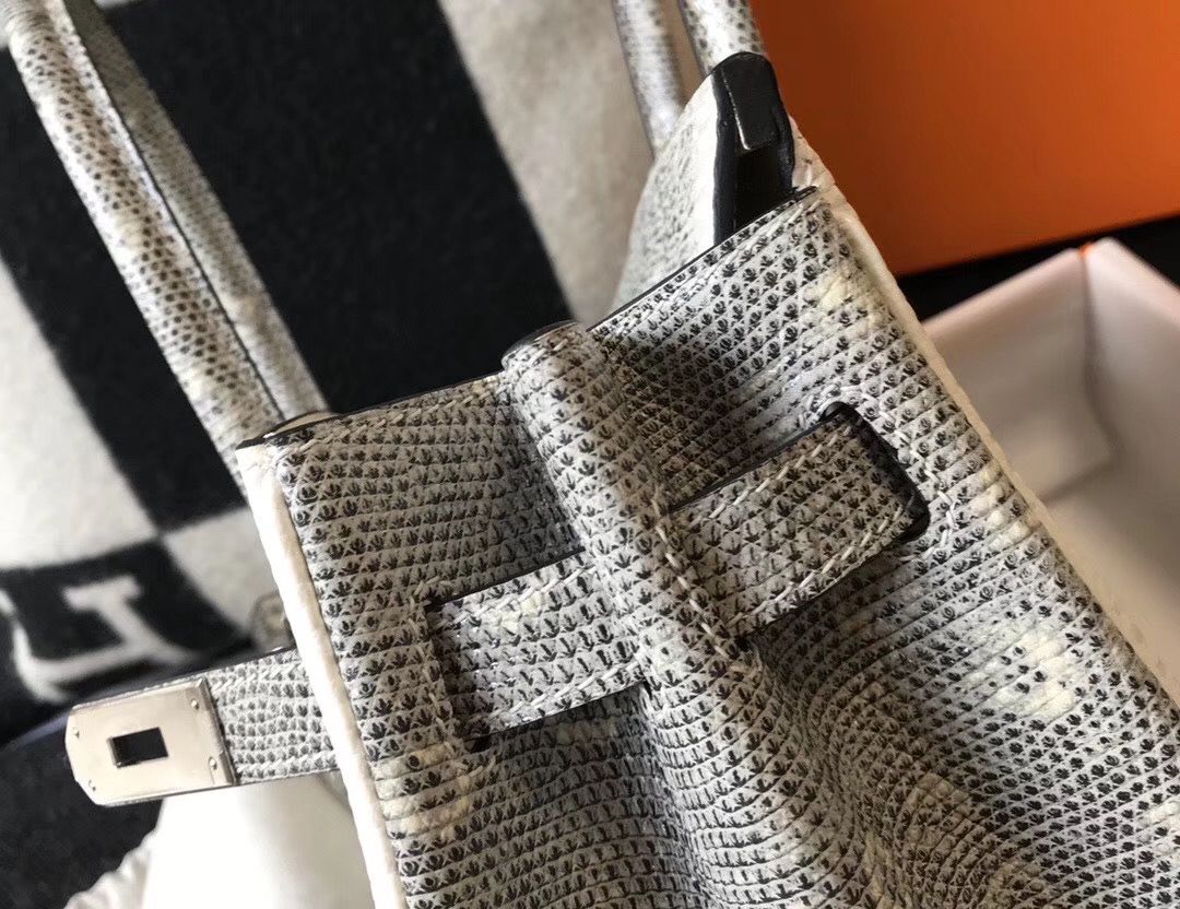 Hermes Birkin 30cm Bag In Ombre Embossed Natural Lizard - Image 5