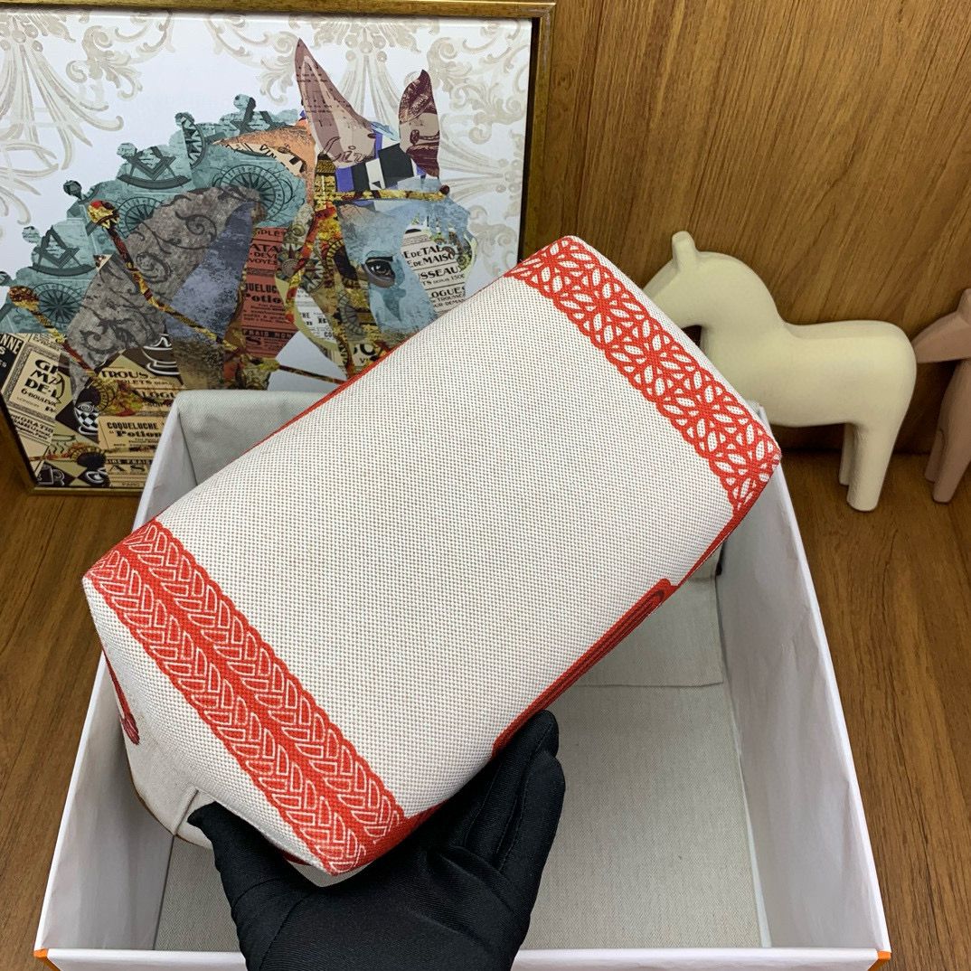 Hermes Steeple 25 Bag in H Plume Canvas with Fantaisie d'Etriers - Image 11