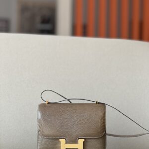 Constance 19 Lizard Ficelle (17) And Gris Caillou(8D)Palladium Hardware